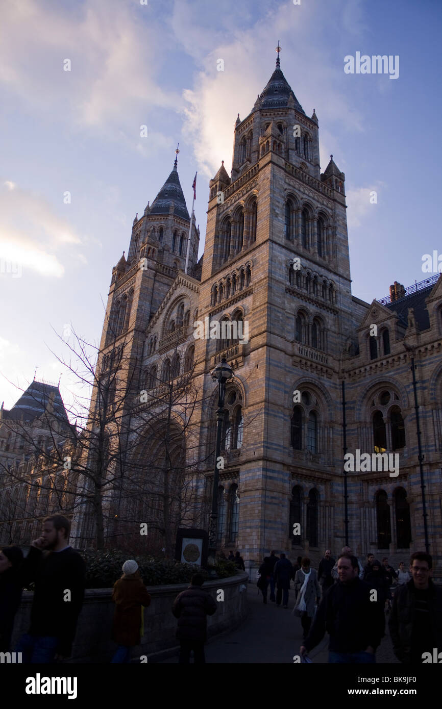 Natural History Museum, Londres Banque D'Images