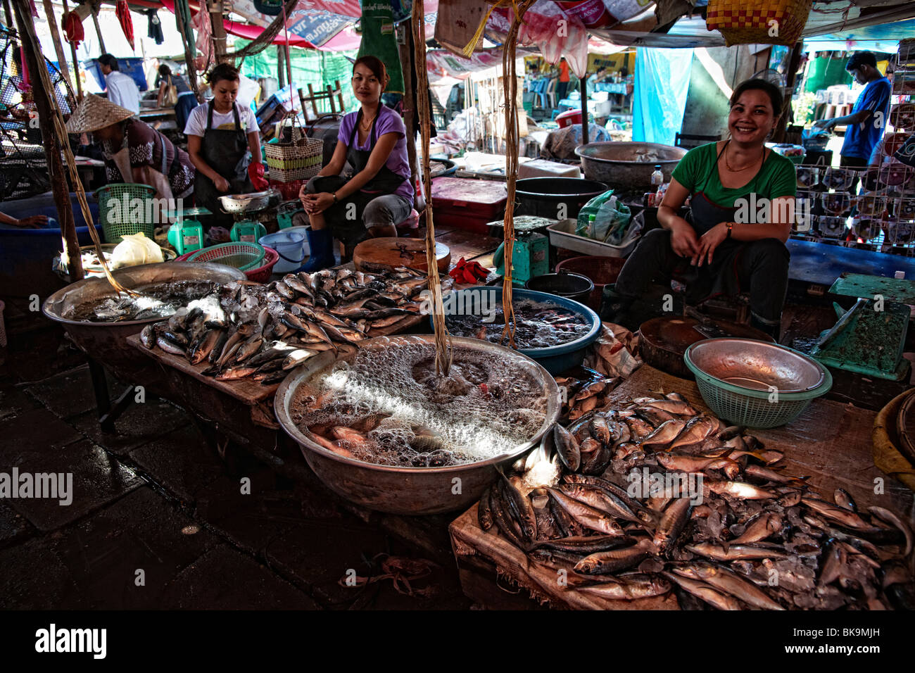 Les femmes à la vente du poisson, food market, Vientiane, Laos Banque D'Images