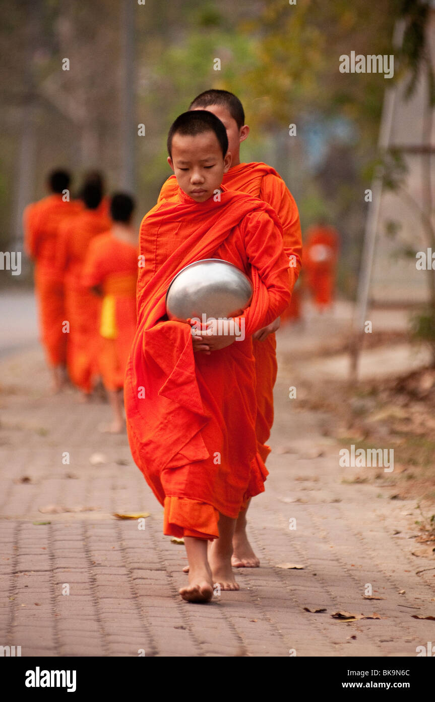 Les jeunes moines Bouddhistes sur leur procession du matin pour des offrandes de nourriture, Chiang Mai, Thaïlande Banque D'Images