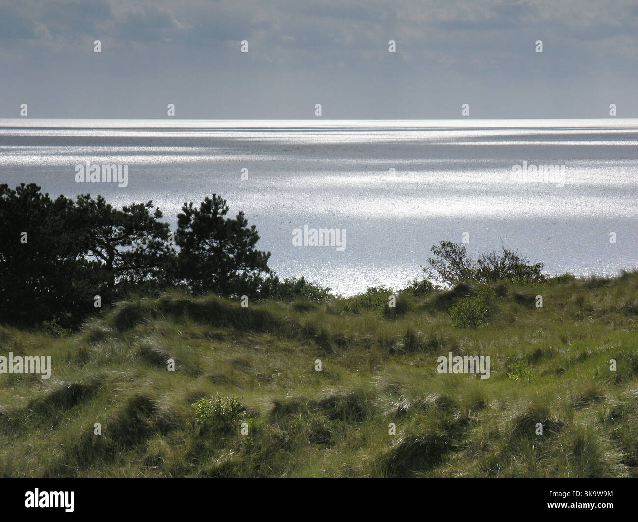 Vue sur la mer des Wadden de la dune Zwarte couvercle' sur l'île de Vlieland' Banque D'Images