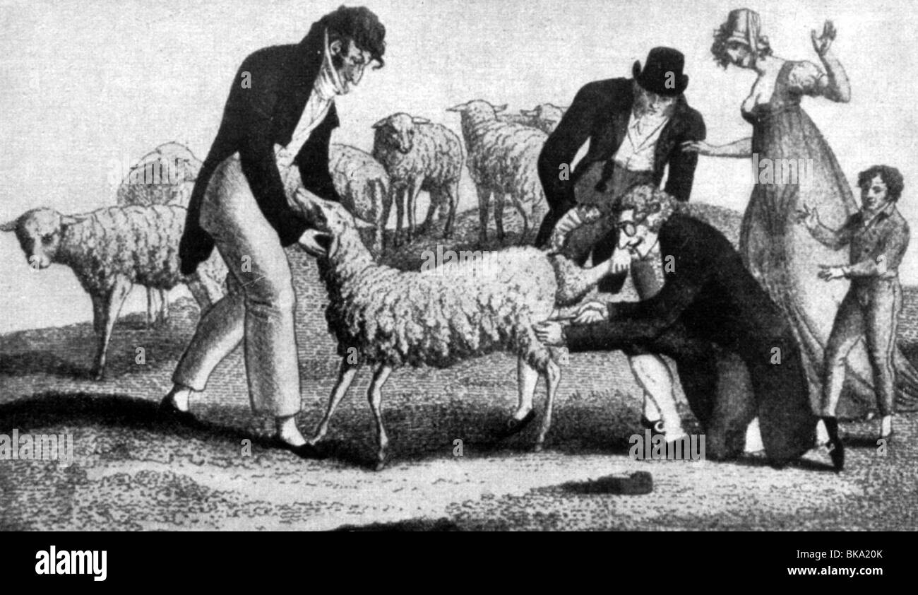 Médecine, maladies pandémiques, variole, vaccination, caricature, prise de vaccin de moutons, Angleterre, 1ère moitié du XIXe siècle, historique, historique, vaccins, jab, vaccinations, jabs, variole, vaccination, Grande-Bretagne, médecin, médecin, médecin, médecin /M.D./, médic , médecins, médecins, médics, gens, Banque D'Images