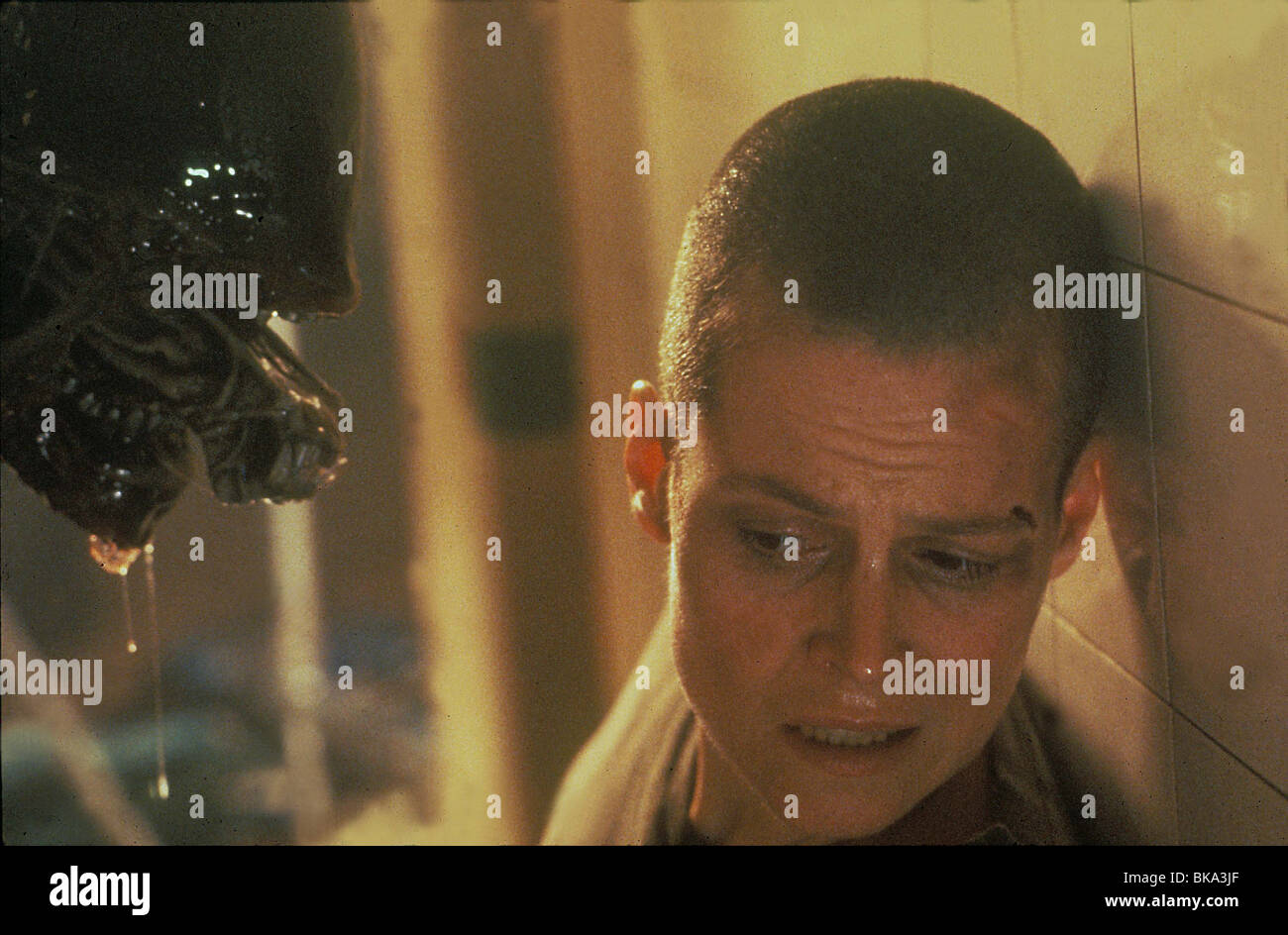 ALIEN 3 -1992 Sigourney Weaver Banque D'Images