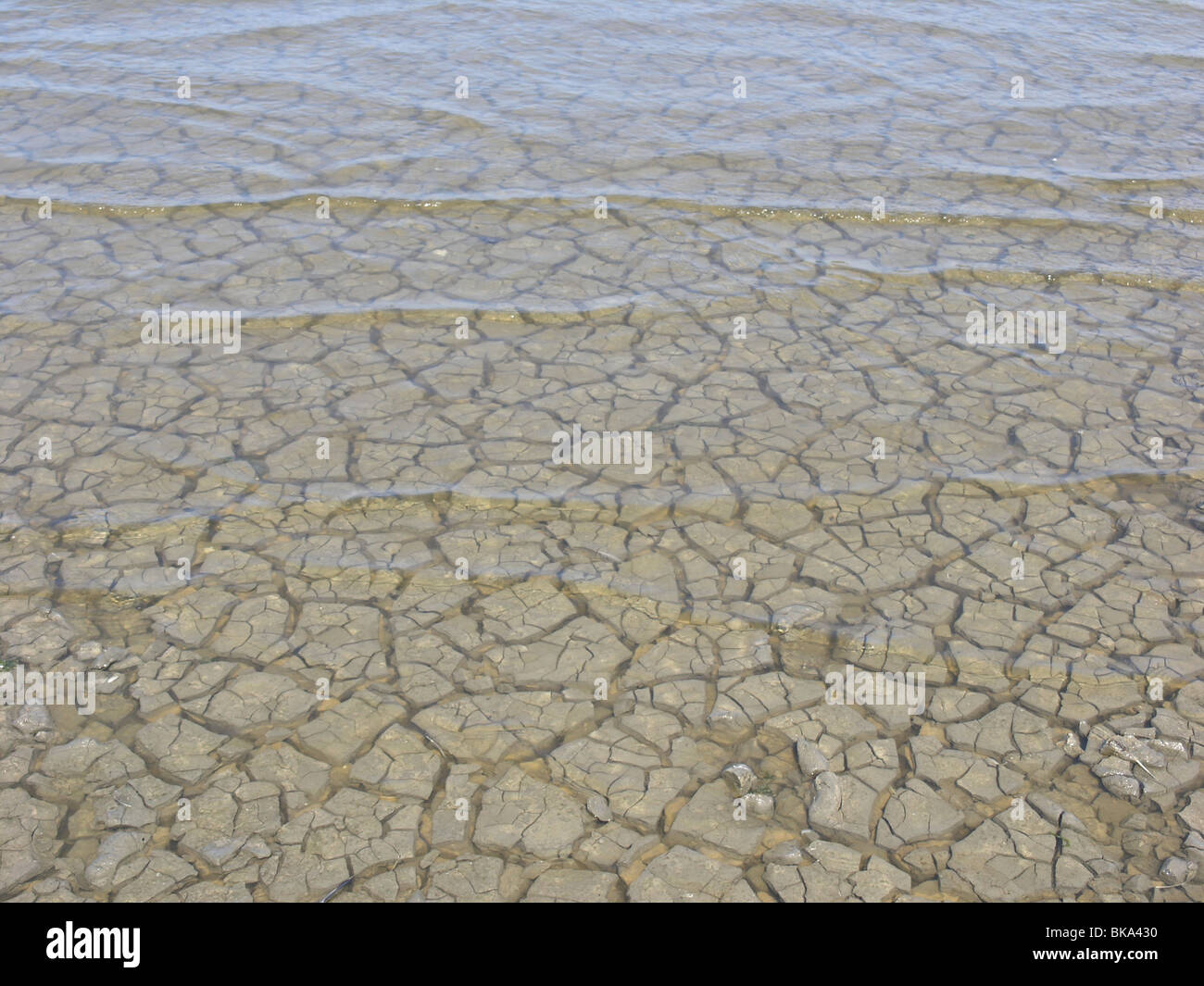 Plus slikveld Springvloed een dat tijdens de warme Zomer van uitgedroogd 2006 volledig était. Banque D'Images