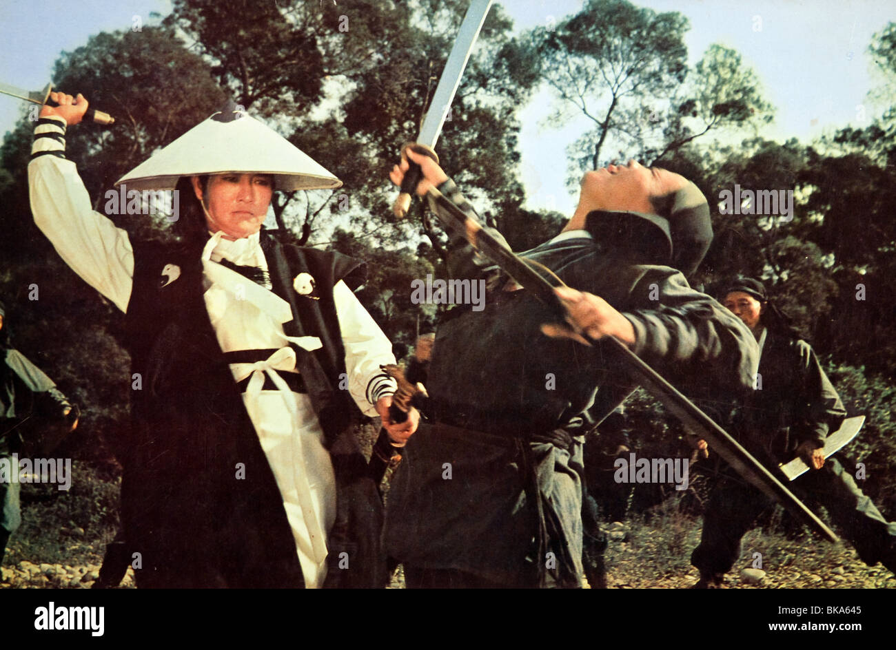 L'épée du fantôme de ren Pai yang Année : 1971 Réalisateur : Yen-ping Chu aka Joseph Kou Nam Hung Yuk Hoh Wa Banque D'Images