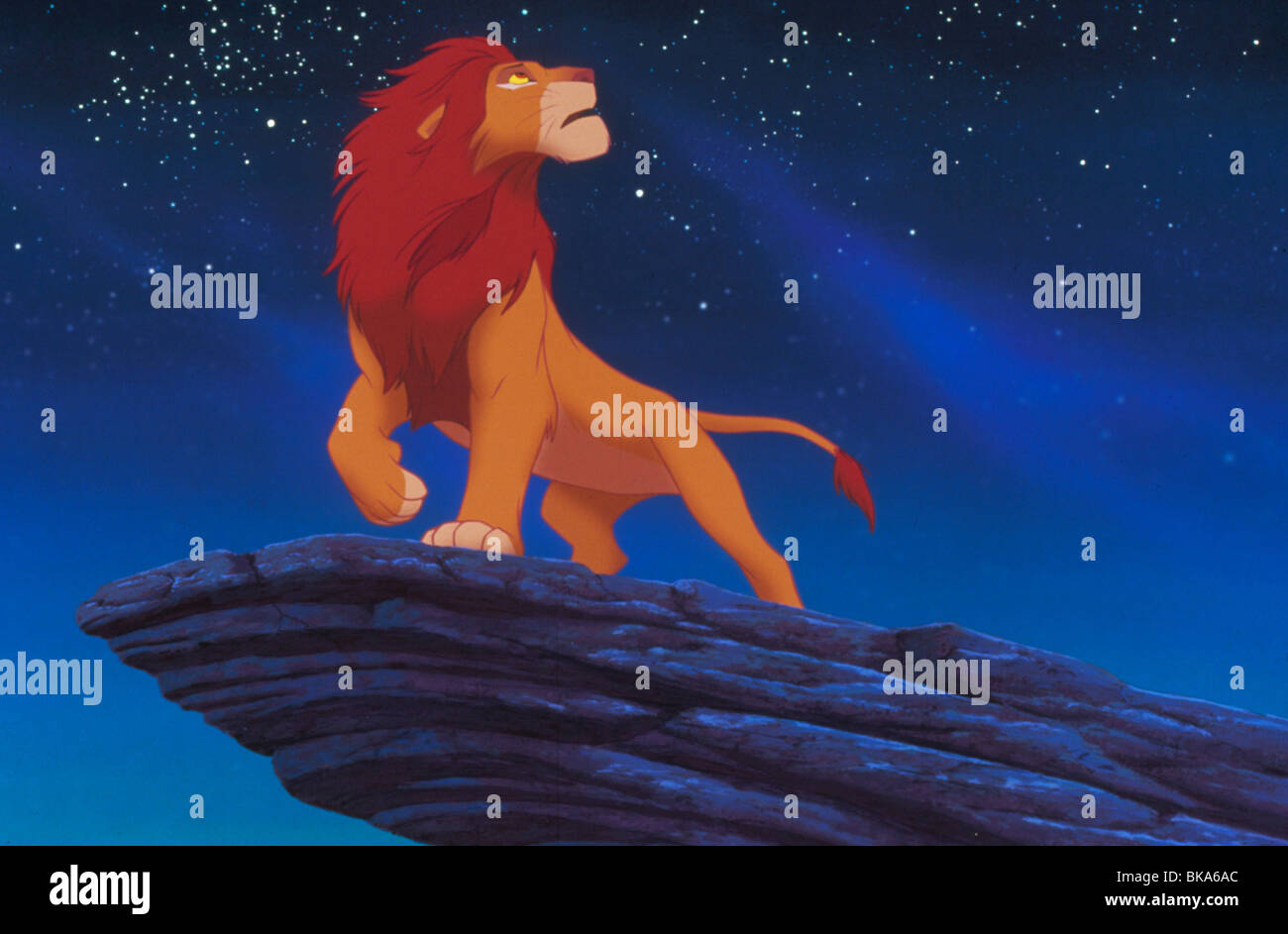 Le Roi Lion Année : 1994 Réalisateur : Roger Allers, Rob Minkoff Animation Banque D'Images