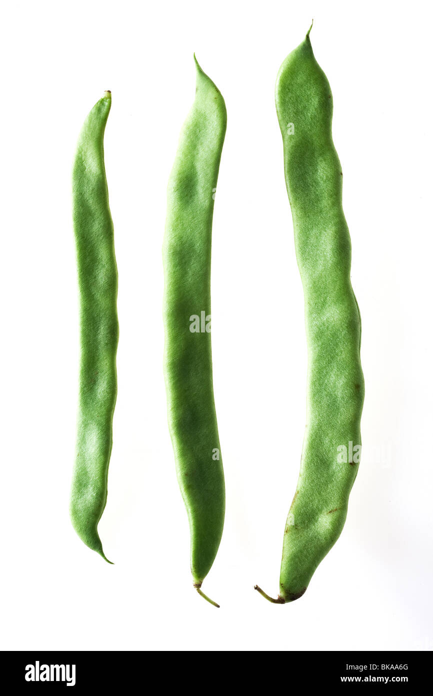 Trois gousses de haricots verts sur fond blanc Banque D'Images
