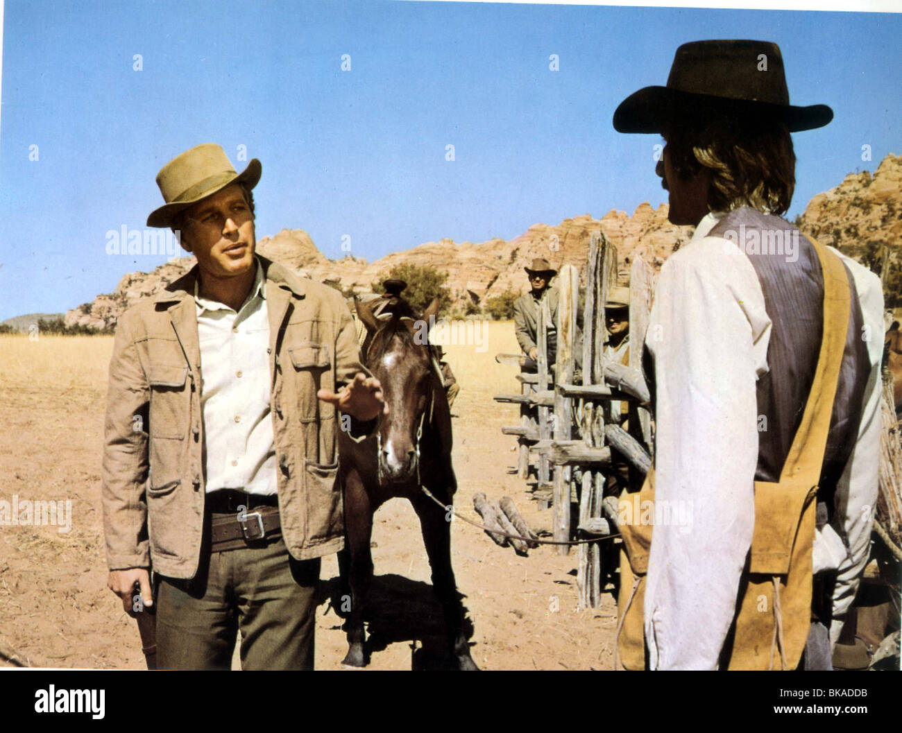 BUTCH CASSIDY ET LE KID PAUL NEWMAN foh 006BCS Banque D'Images