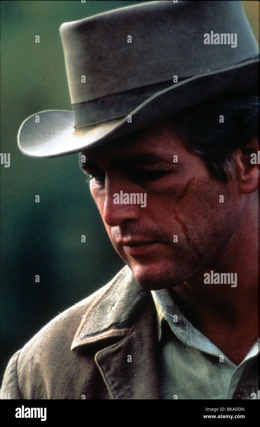 BUTCH CASSIDY ET LE KID PAUL NEWMAN BCS 008 Banque D'Images