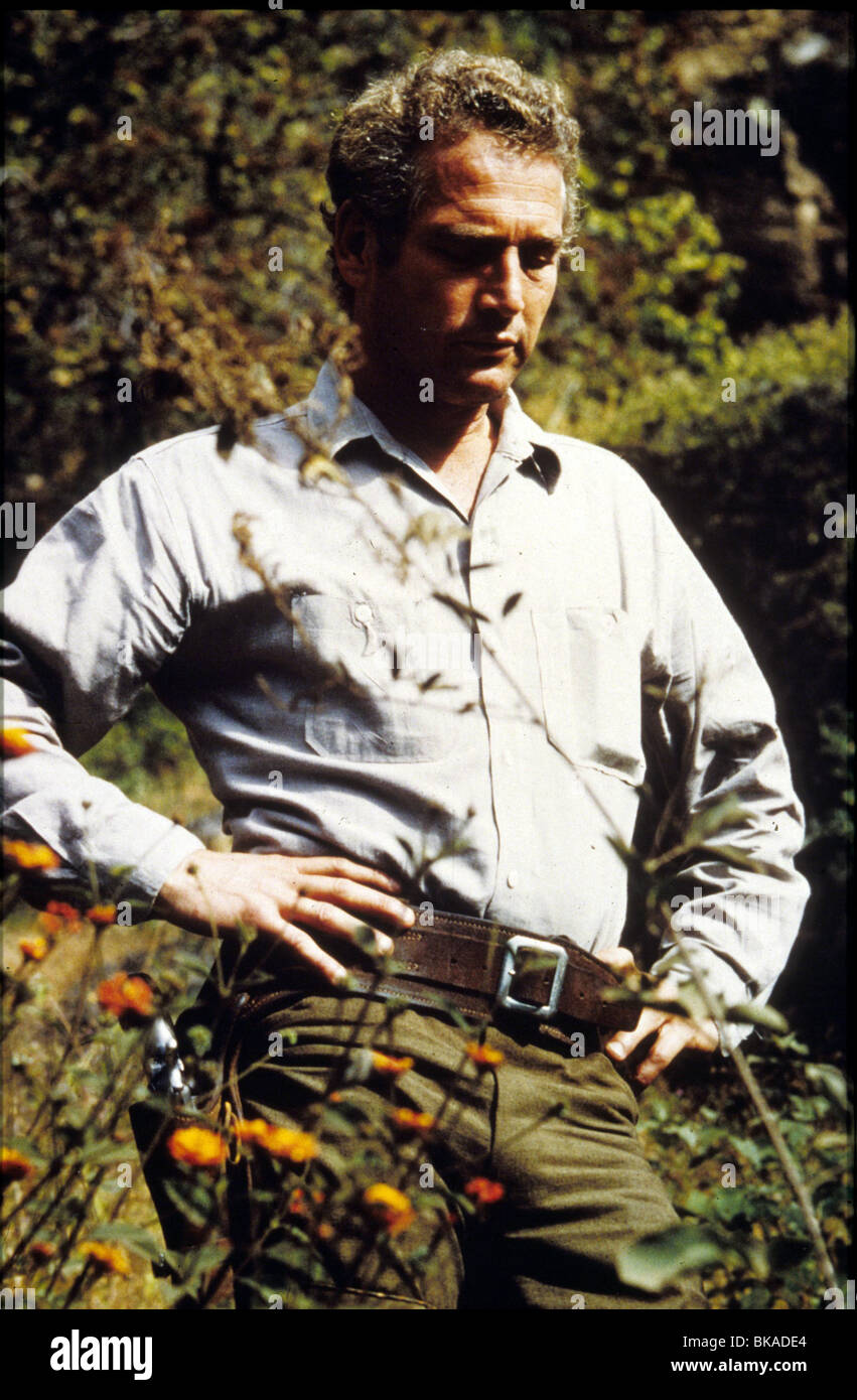 BUTCH CASSIDY ET LE KID PAUL NEWMAN BCS 012 Banque D'Images