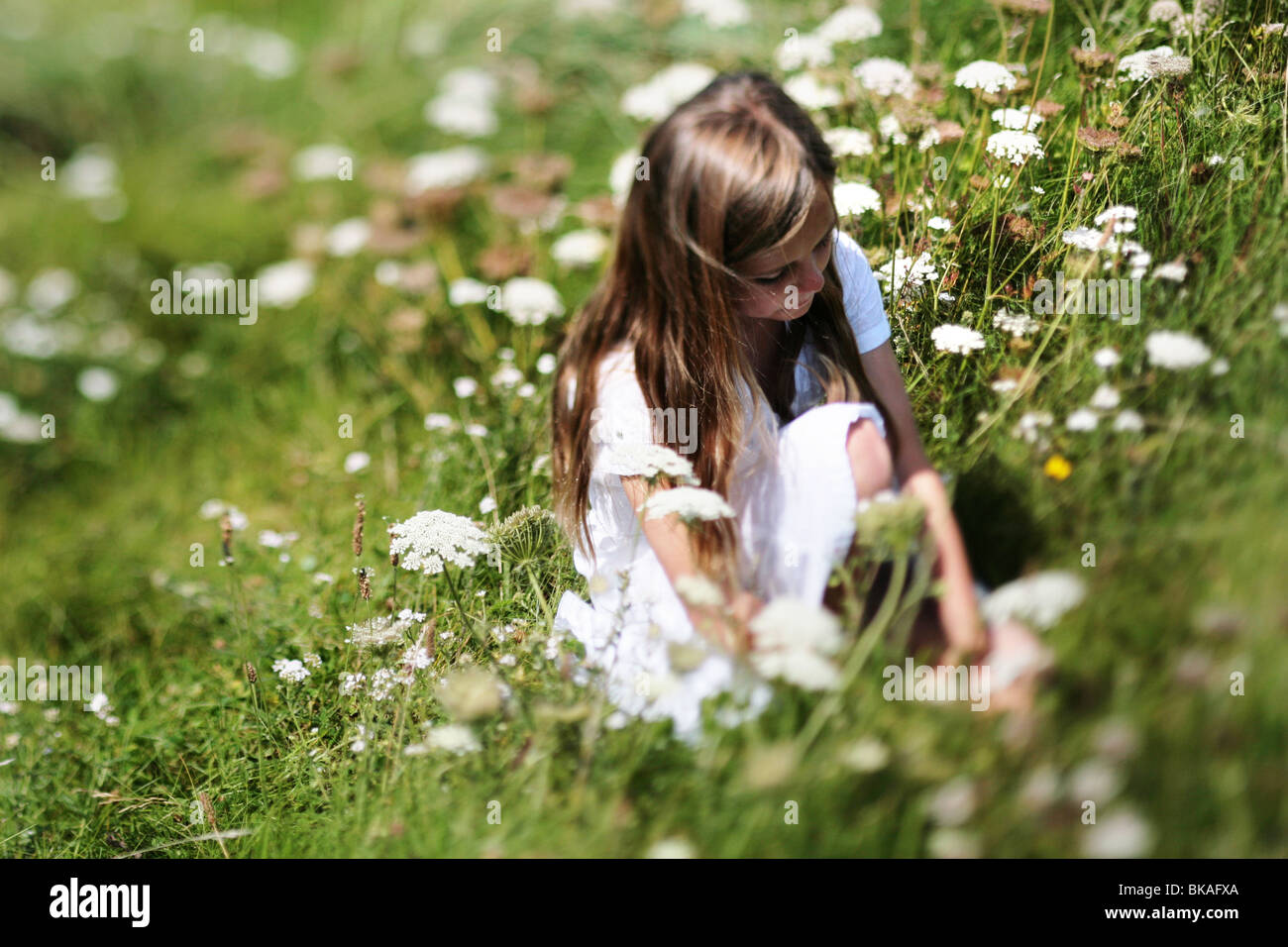 Fille en robe blanche la cueillette des fleurs Banque D'Images