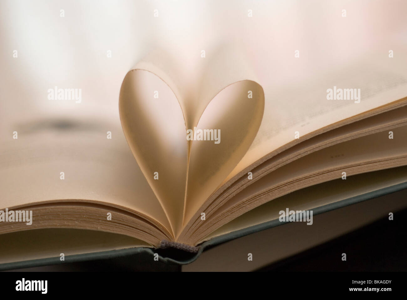 Un coeur fait avec les pages intérieures du livre Banque D'Images