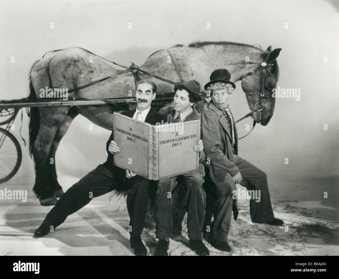 Un jour aux courses 1937 groucho marx Banque de photographies et d