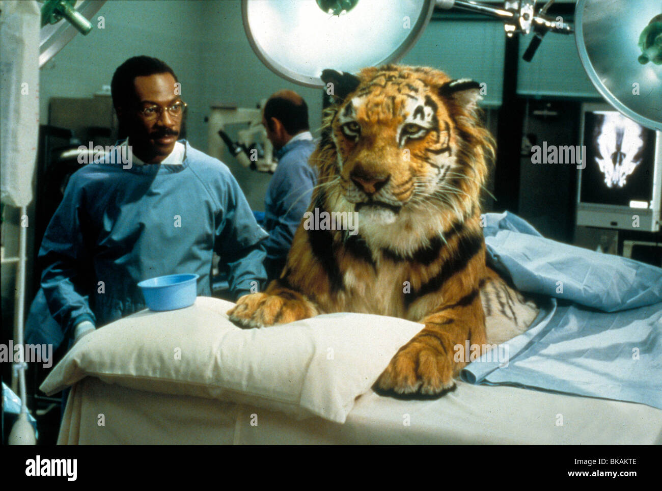 DR DOLITTLE -1998 Eddie Murphy Banque D'Images
