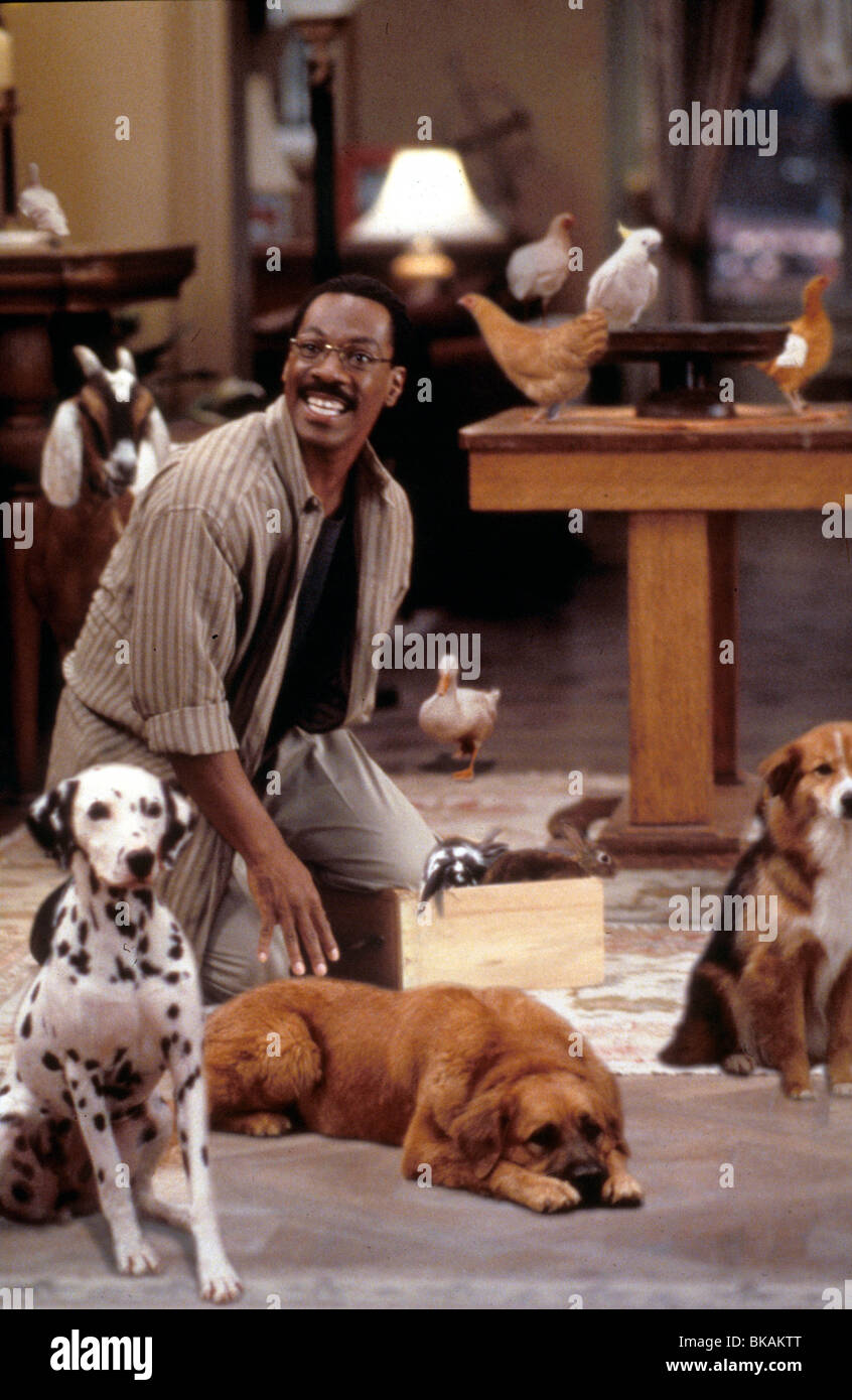 DR DOLITTLE -1998 Eddie Murphy Banque D'Images