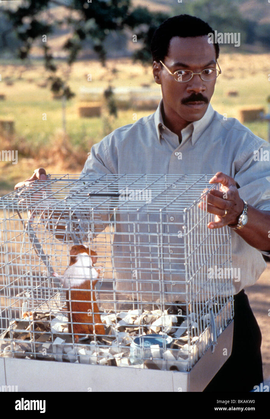 DR DOLITTLE -1998 Eddie Murphy Banque D'Images