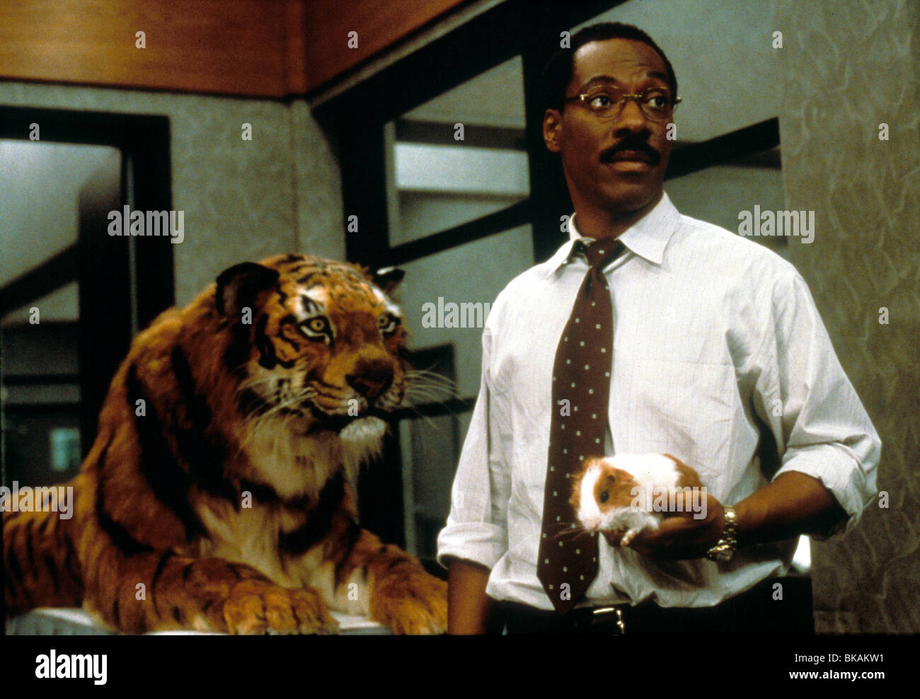 DR DOLITTLE -1998 Eddie Murphy Banque D'Images