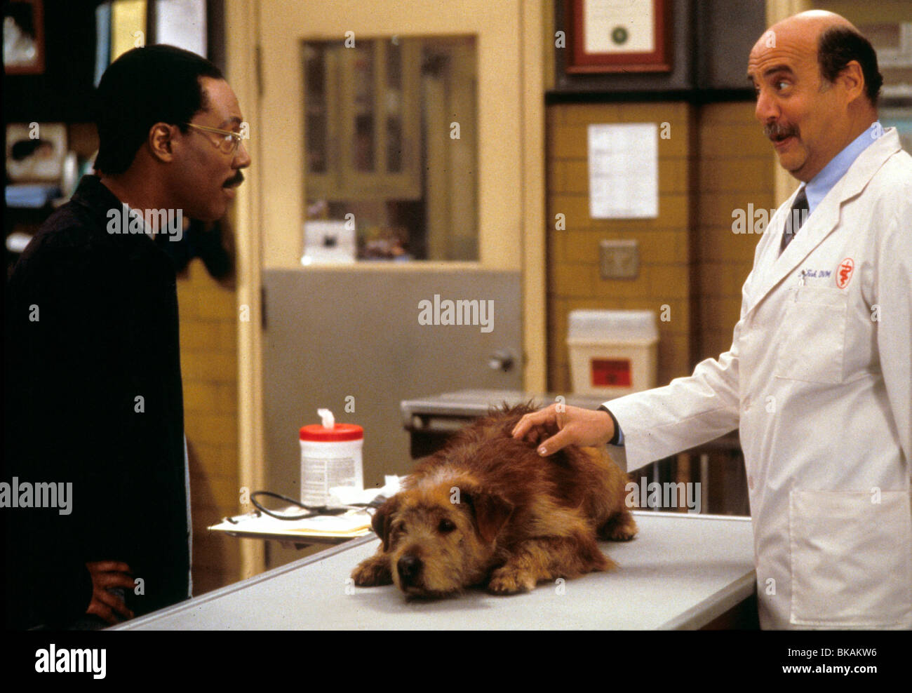 Le Docteur Dolittle (1998) EDDIE MURPHY, Jeffrey Tambor ORDD 073 Banque D'Images