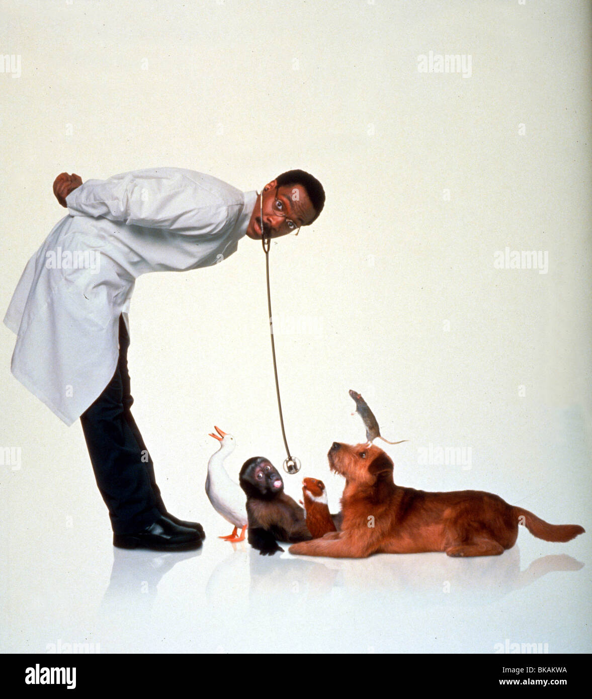 DR DOLITTLE -1998 Eddie Murphy Banque D'Images