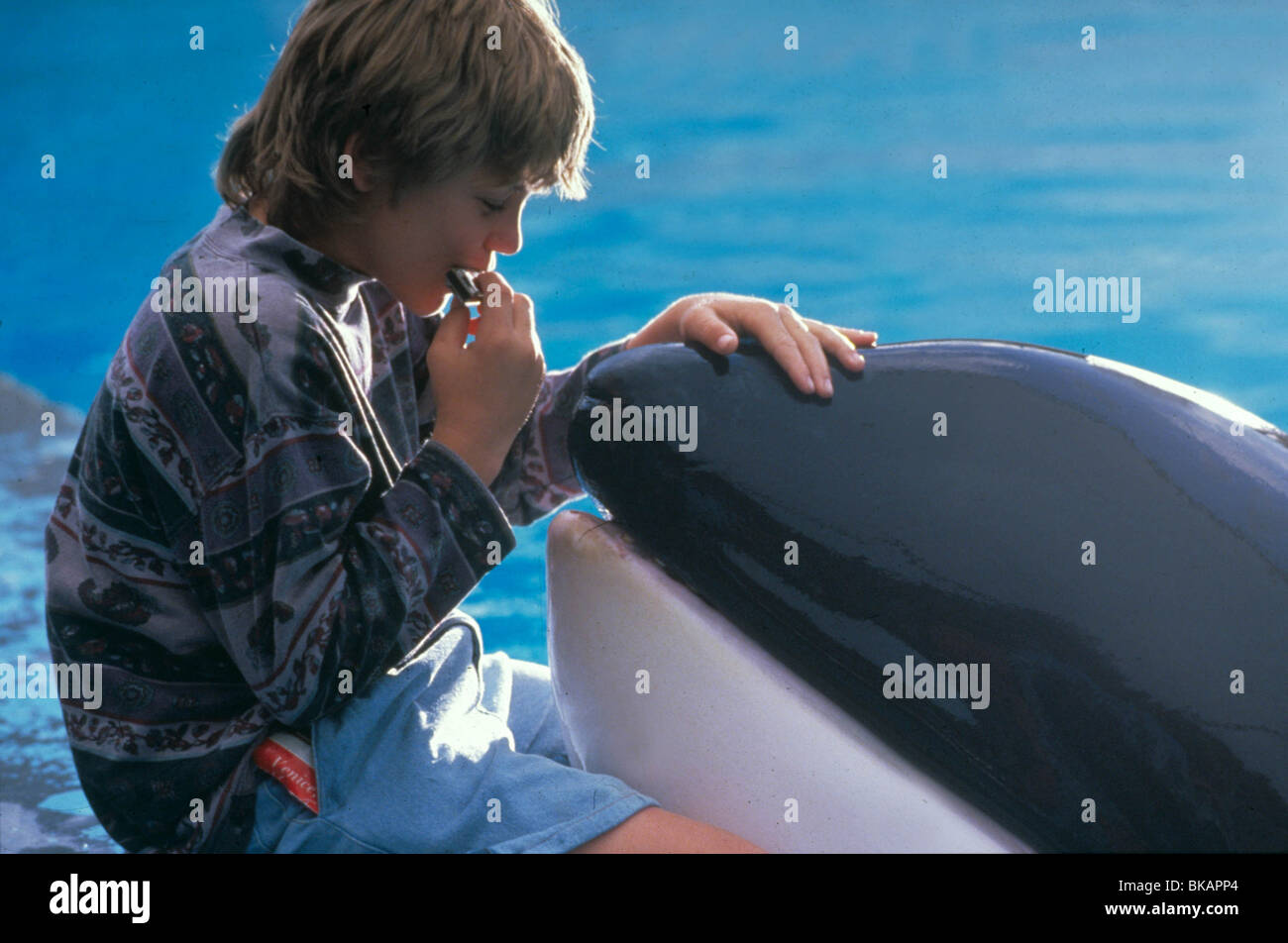 FREE WILLY (1993) JASON JAMES RICHTER FWLY 001 MOVIESTORE COLLECTION LTD Banque D'Images
