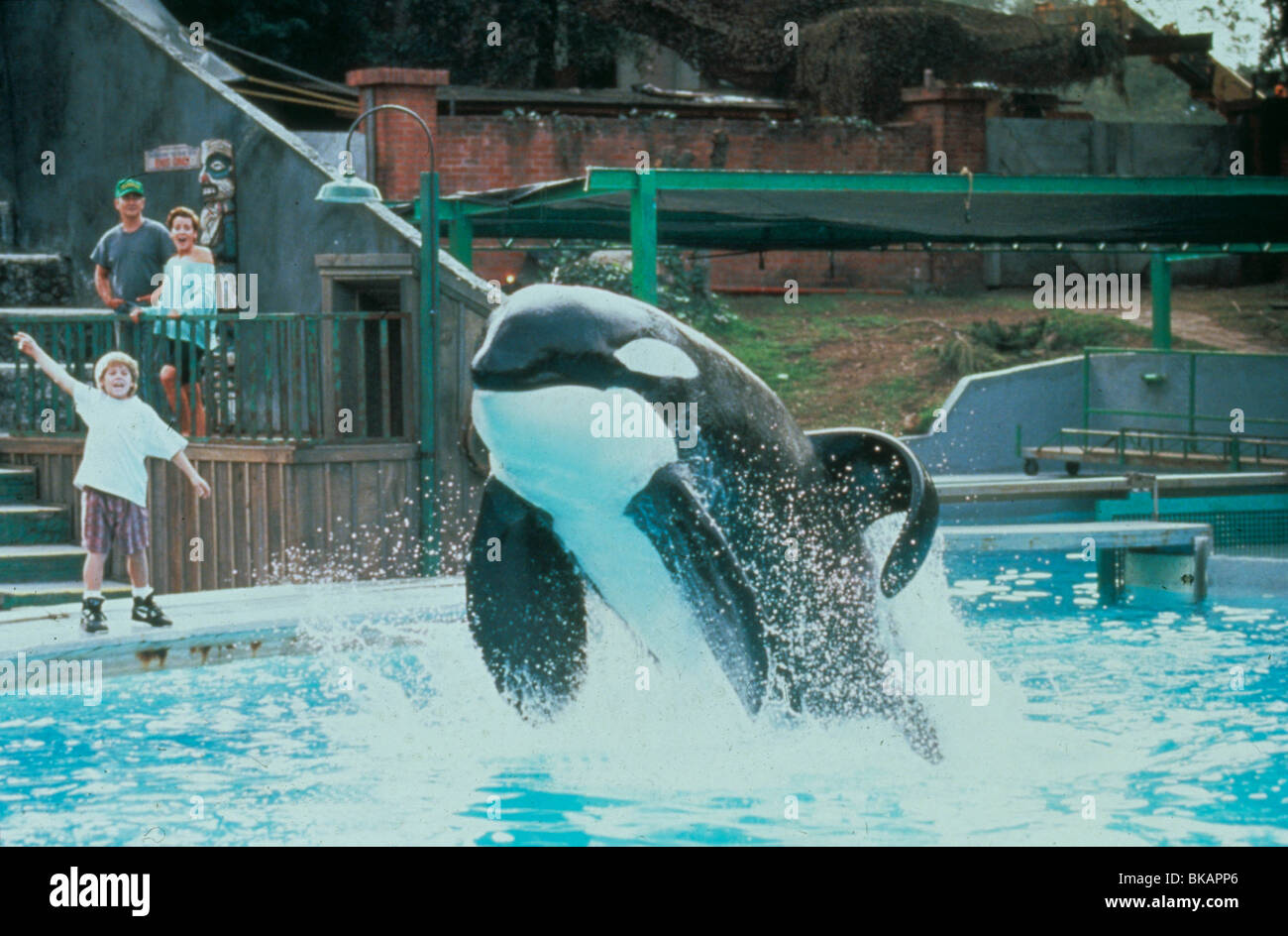 FREE WILLY (1993) LORI MESTIAL, JASON JAMES RICHTER FWLY 009 MOVIESTORE COLLECTION LTD Banque D'Images