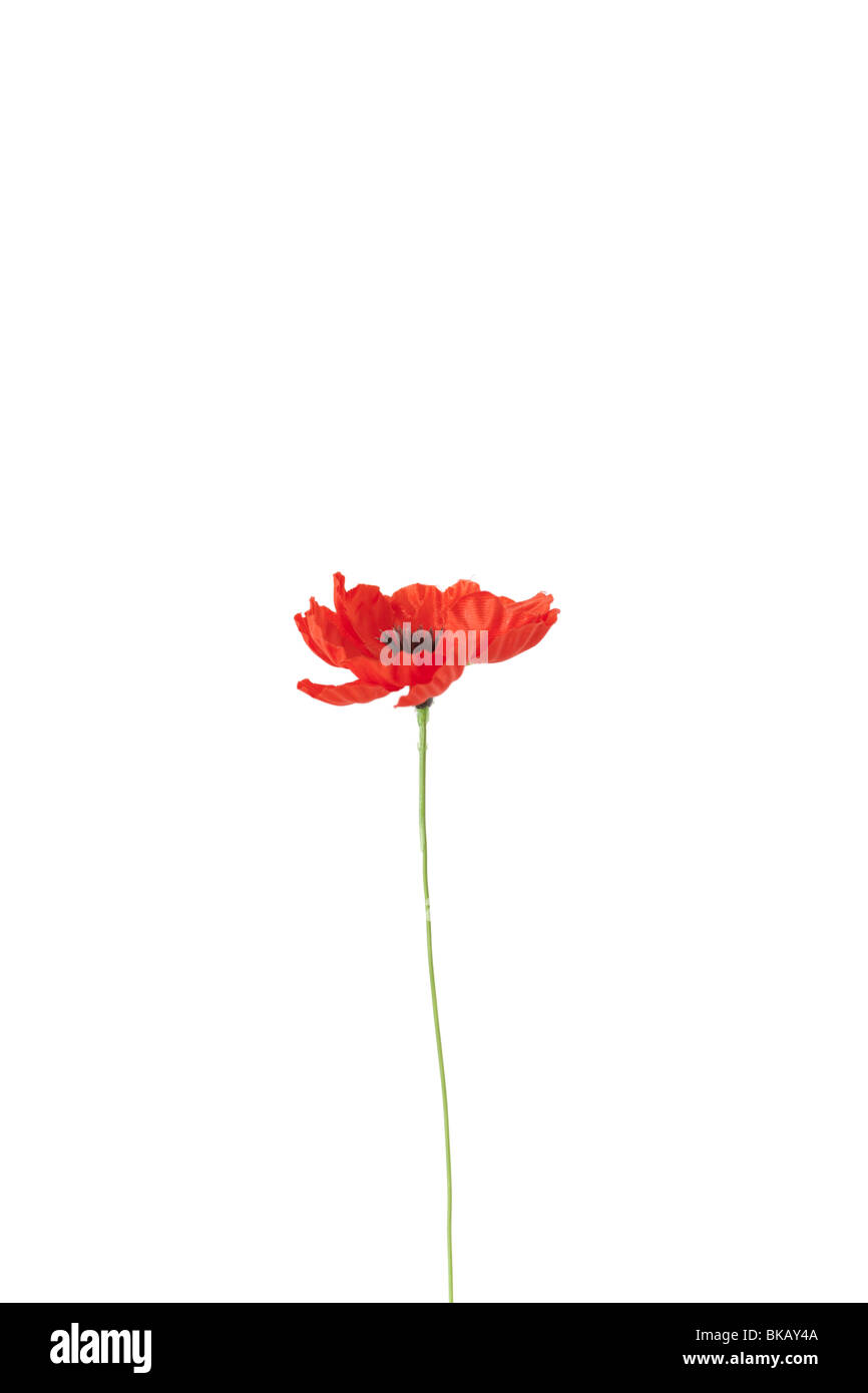 Une fleur de pavot artificiel. Banque D'Images