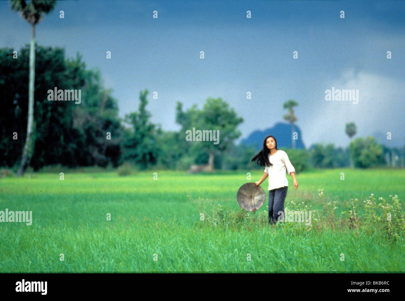 Heaven And Earth 1993 Hiep Thi Le Banque D Image Et Photos Alamy Heaven And Earth 1993 Hiep Thi Le Banque D Image Et Photos Alamy
