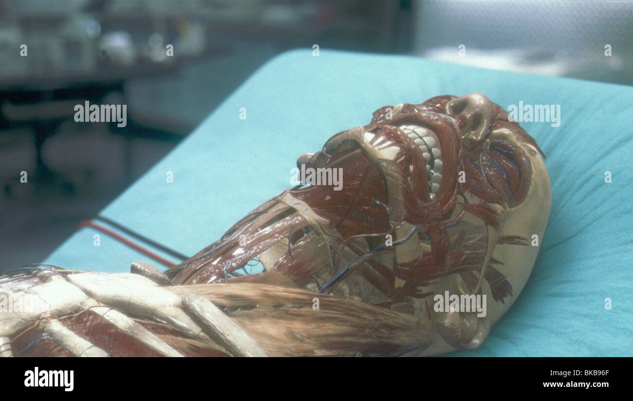 HOLLOW MAN -2000 Banque D'Images