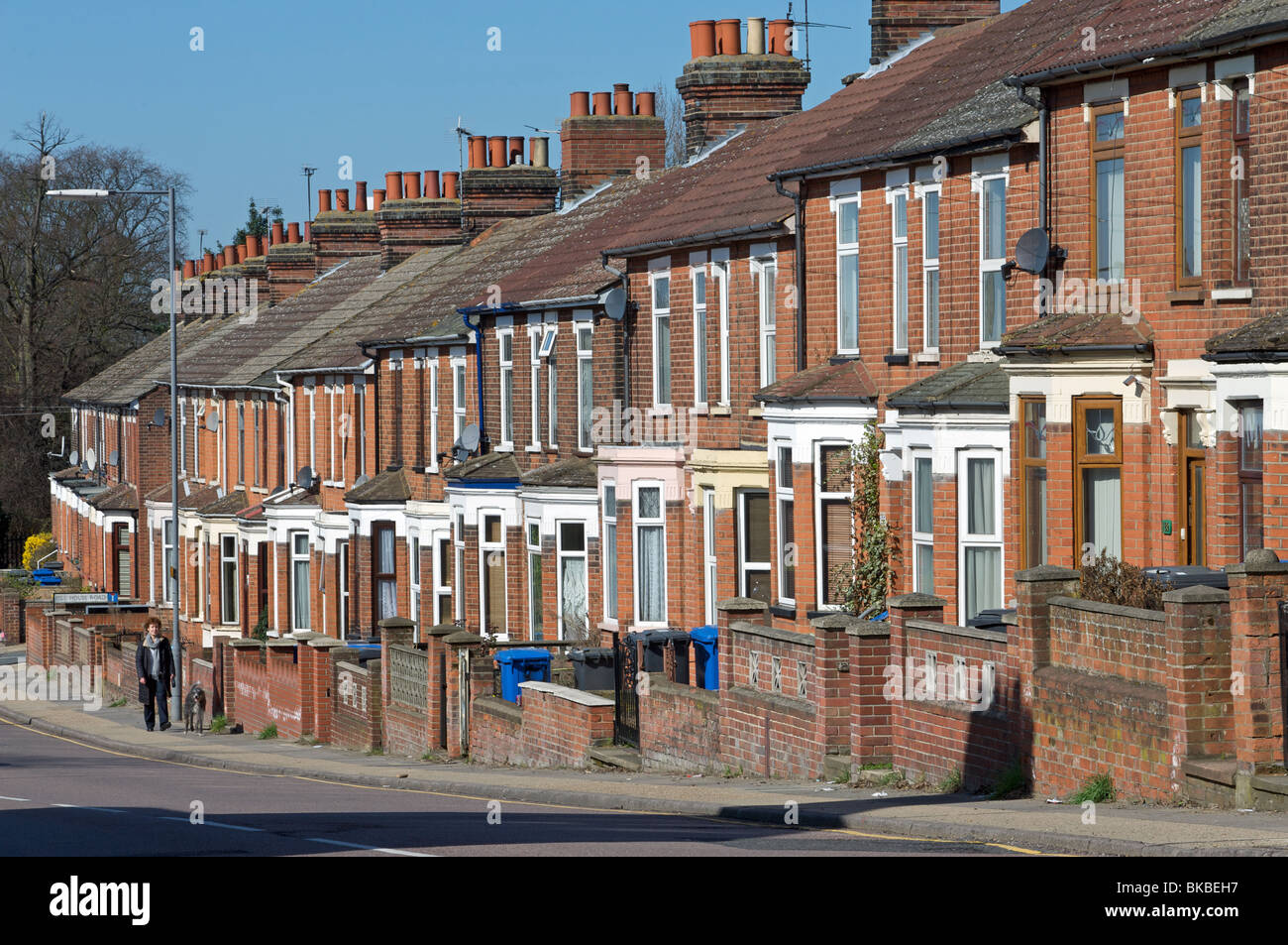 Rue résidentielle, Ipswich, Suffolk, UK. Banque D'Images