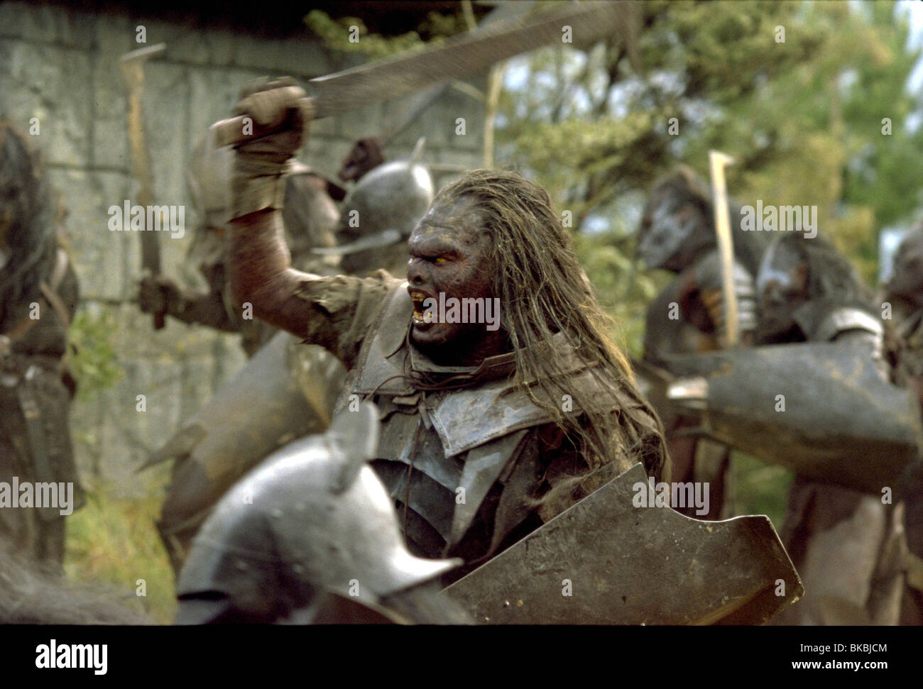 Le SEIGNEUR DES ANNEAUX : LA COMMUNAUTÉ DE L'ANNEAU (2001) FOTR 001-30 Banque D'Images