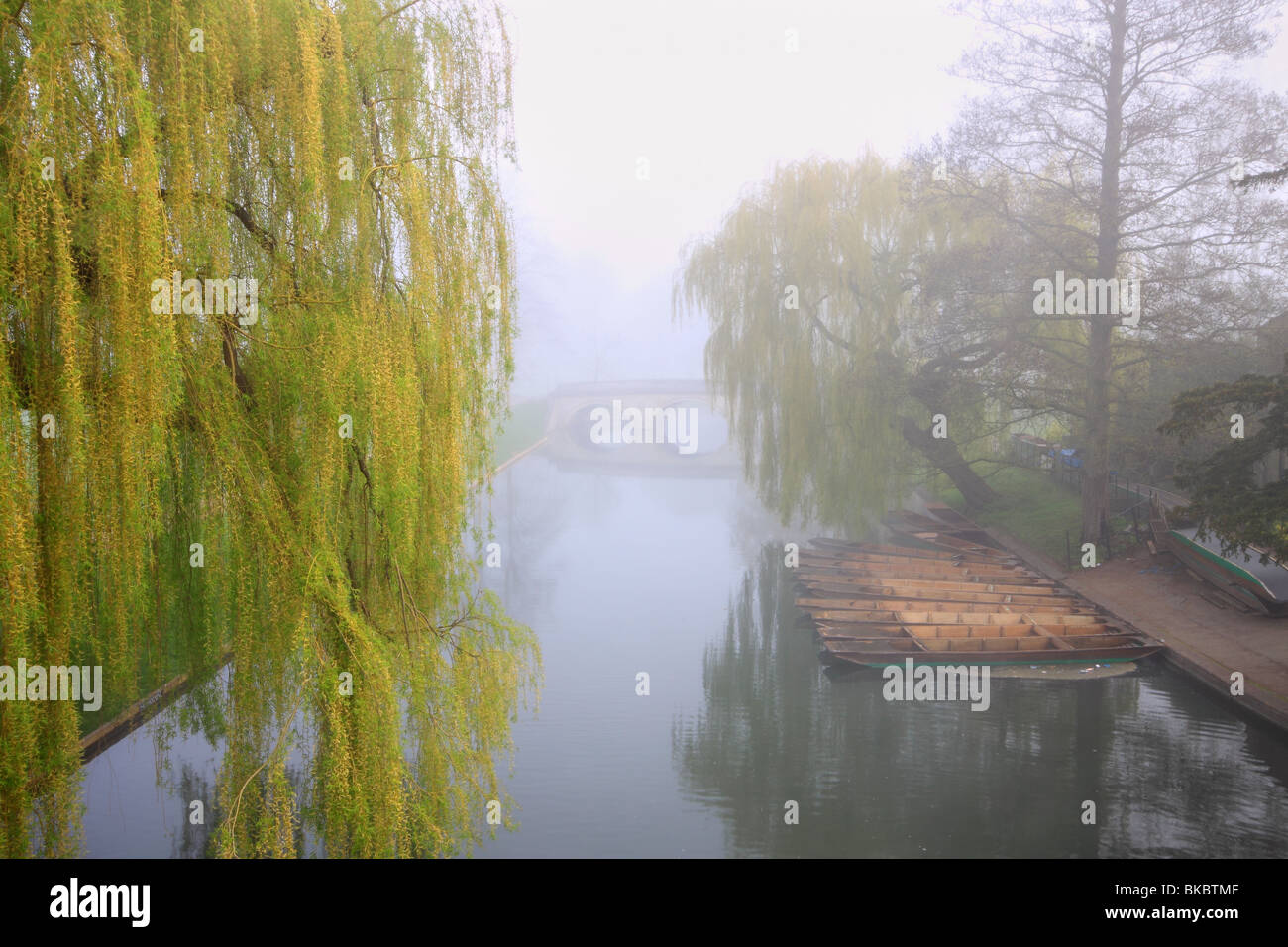 Matin brumeux sur la rivière Cam, Cambridge, avec vue vers le pont de la Trinité Banque D'Images