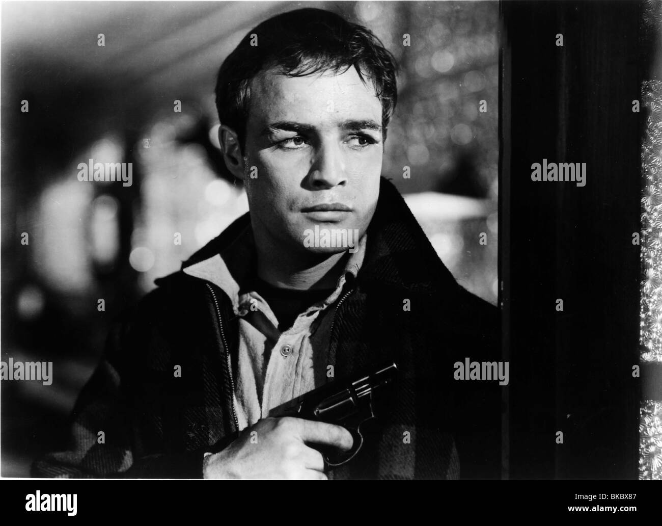 Sur le front (1954) Marlon Brando OTWF 005P Banque D'Images