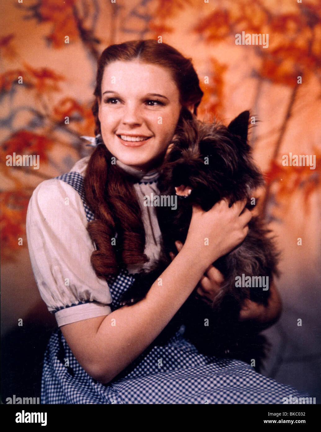 Le Magicien d'OZ(1939) Judy Garland WOZ 016CP Banque D'Images