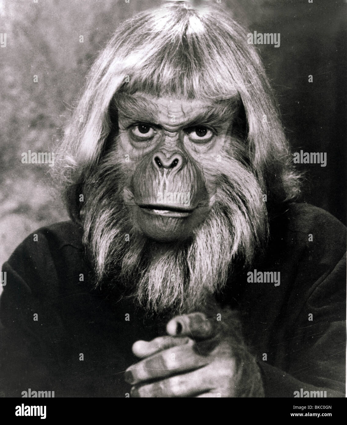 of the apes Banque de photographies et d’images à haute résolution Page 2 Alamy