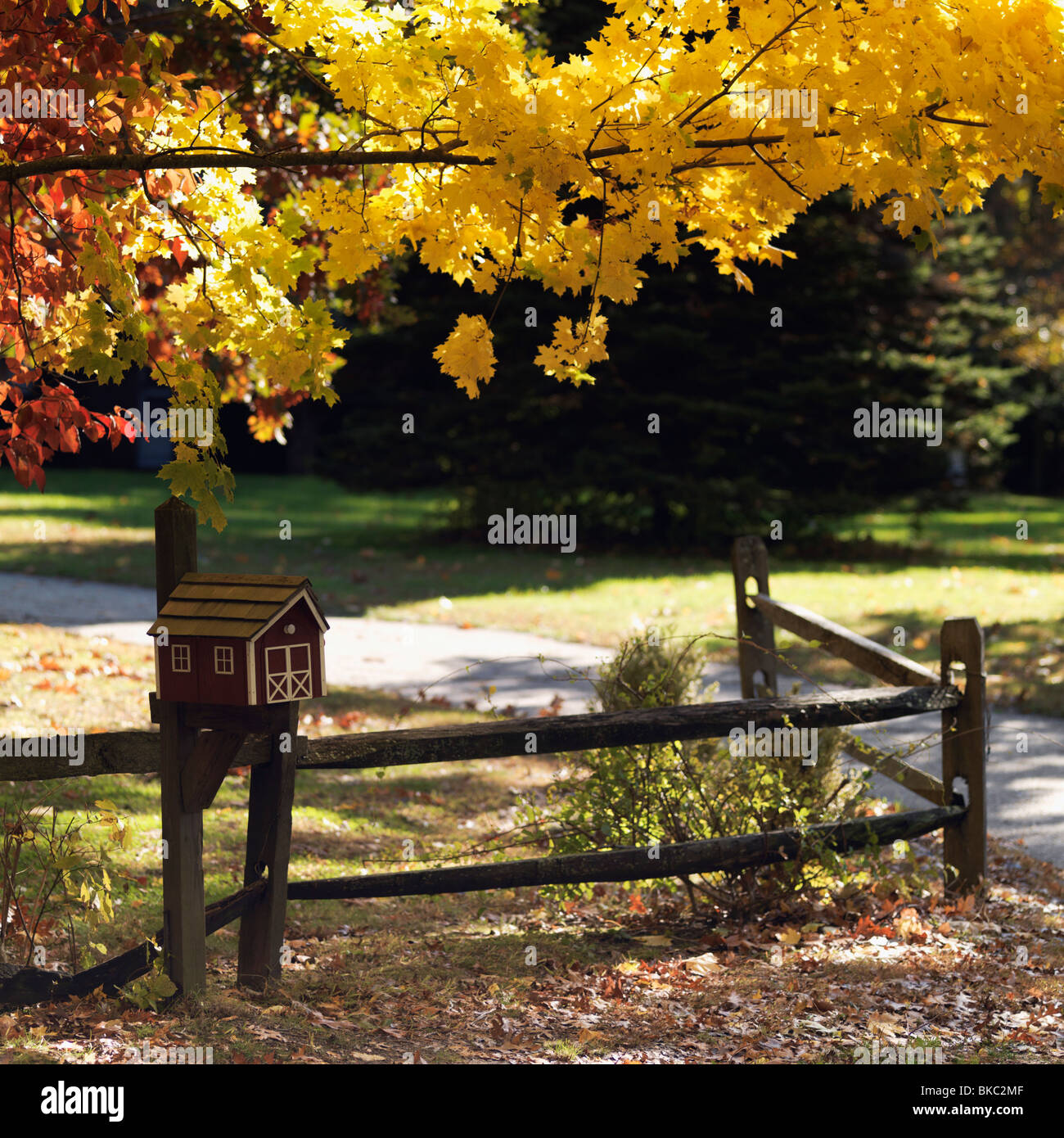 Boîte aux lettres House-Shaped en automne, Sag Harbor, New York, USA Banque D'Images