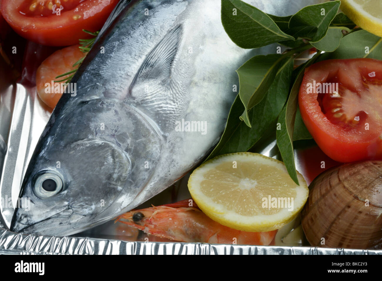 Euthynnus alletteratus, appelé faux de germon mer Méditerranée Banque D'Images