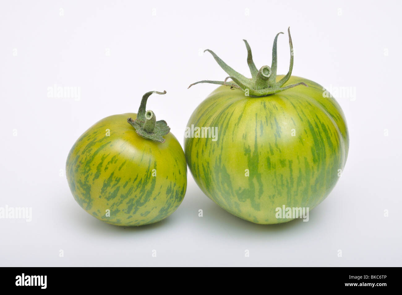 Les tomates (Lycopersicon esculentum) Banque D'Images