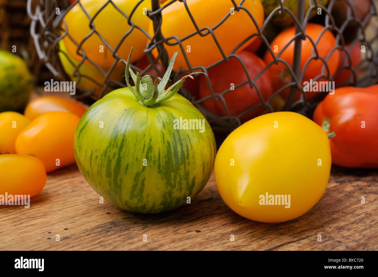 Les tomates (Lycopersicon esculentum) Banque D'Images