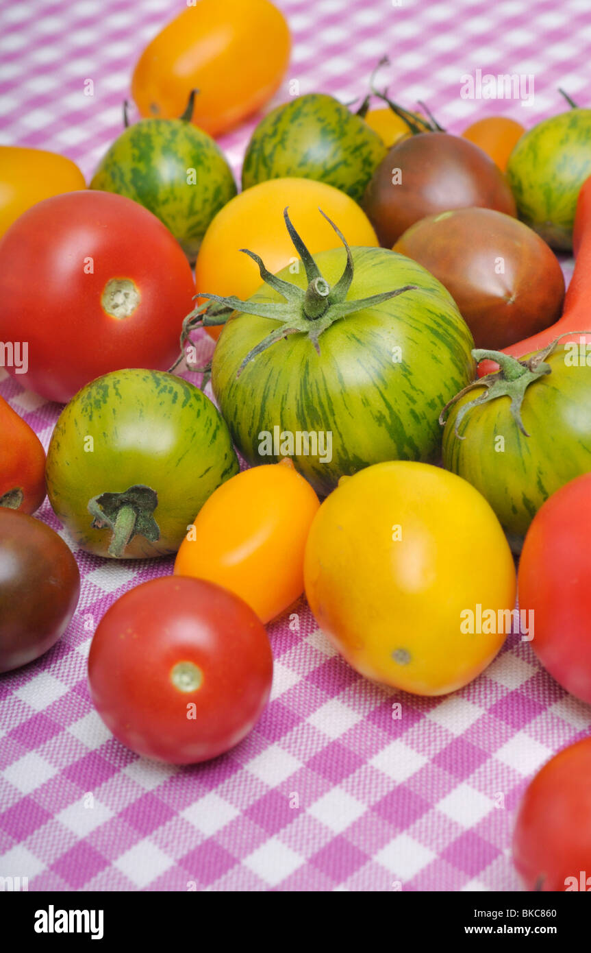 Les tomates (Lycopersicon esculentum) Banque D'Images