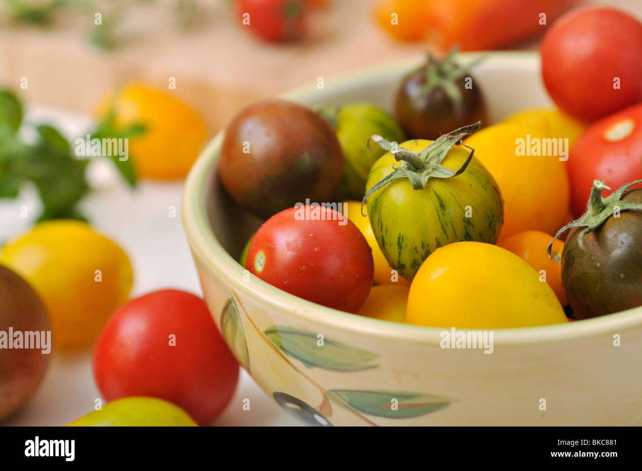 Les tomates (Lycopersicon esculentum) Banque D'Images