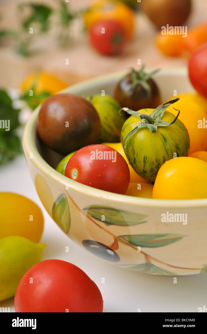 Les tomates (Lycopersicon esculentum) Banque D'Images