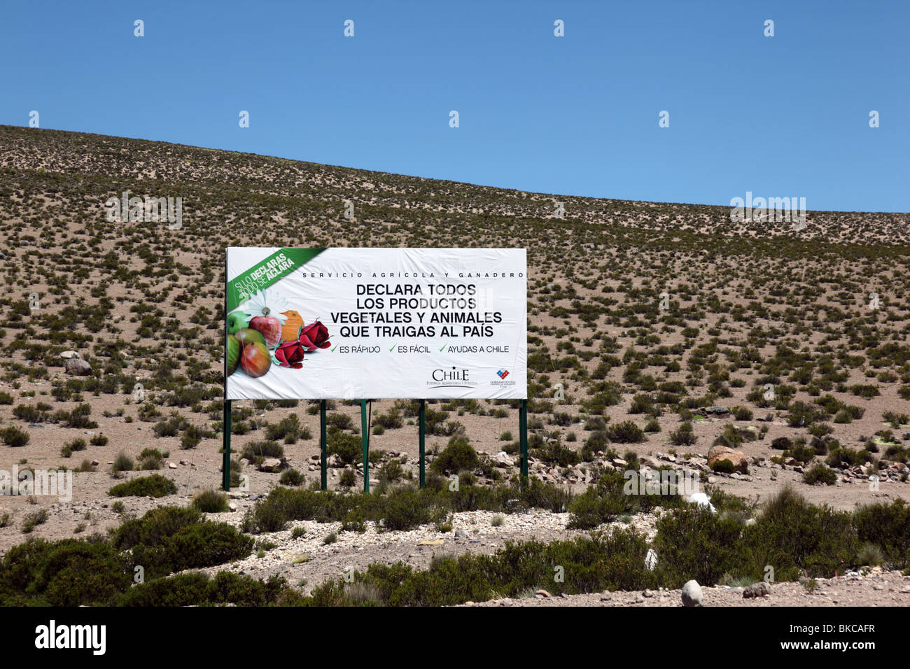 Signer à la frontière la déclaration de commande de tous les fruits, légumes et produits animaux frais importés au Chili, à la frontière entre la Bolivie et le Chili Banque D'Images