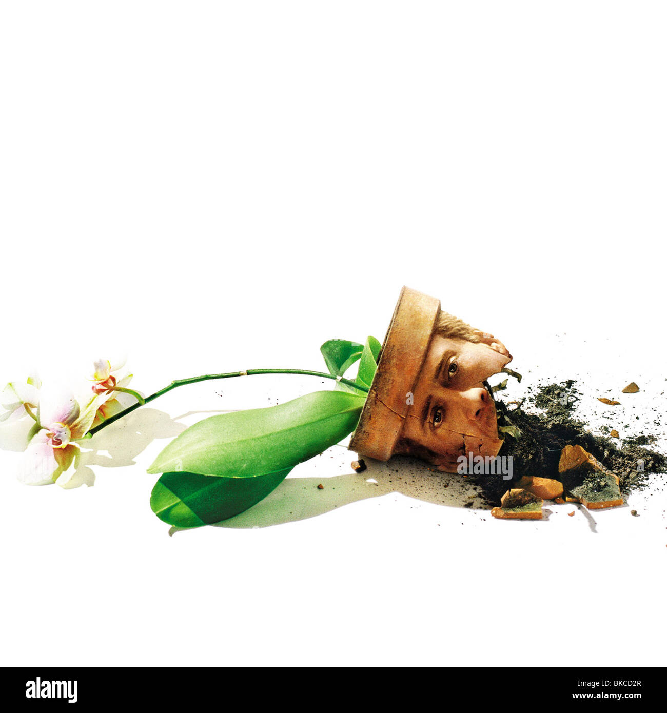 L'ADAPTATION -2002 POSTER APTN Banque D'Images