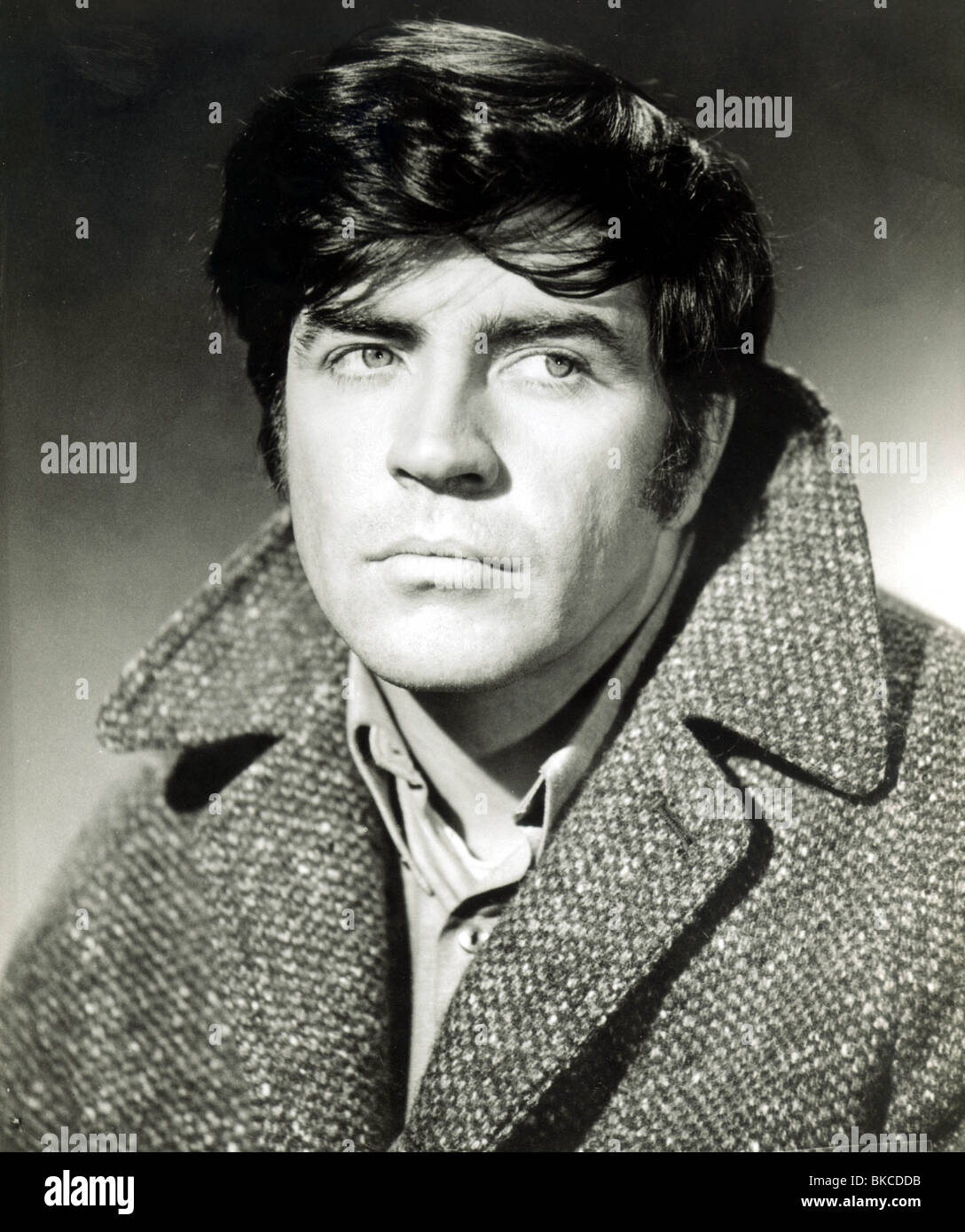 ALAN BATES PORTRAIT Banque D'Images