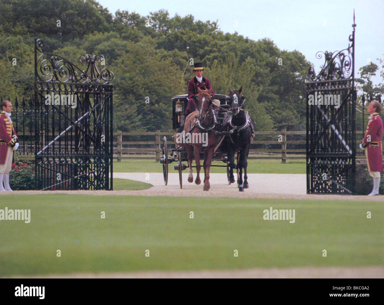 La beauté noire -1995 Banque D'Images