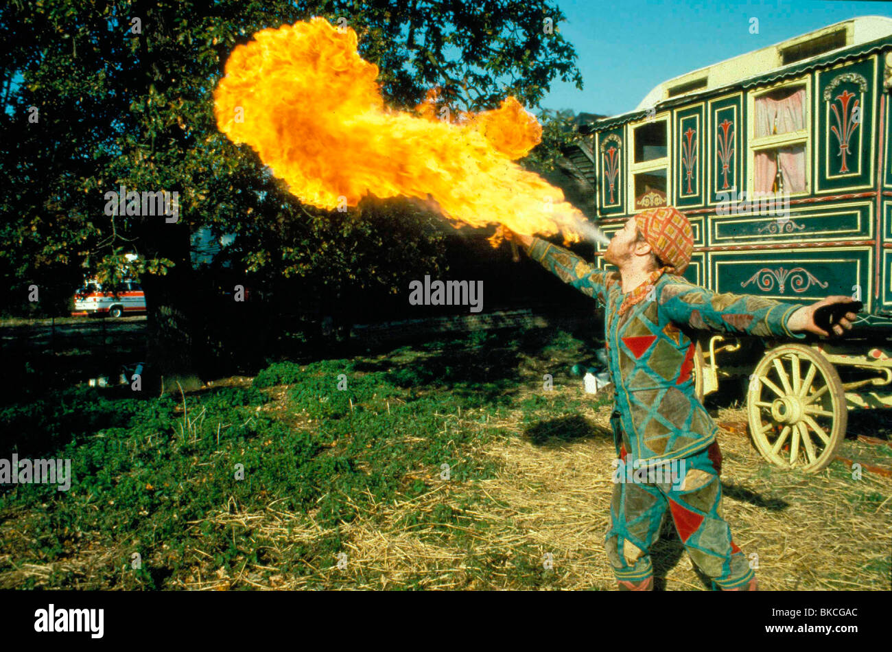 La beauté noire -1995 Banque D'Images