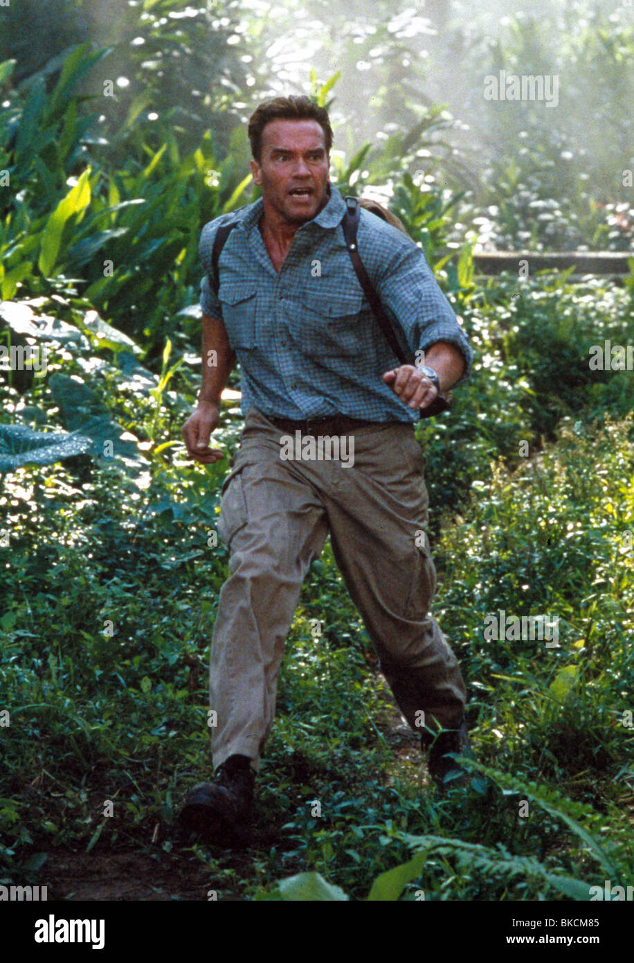 Dommages collatéraux (2002) Arnold Schwarzenegger CLDM 007 Banque D'Images