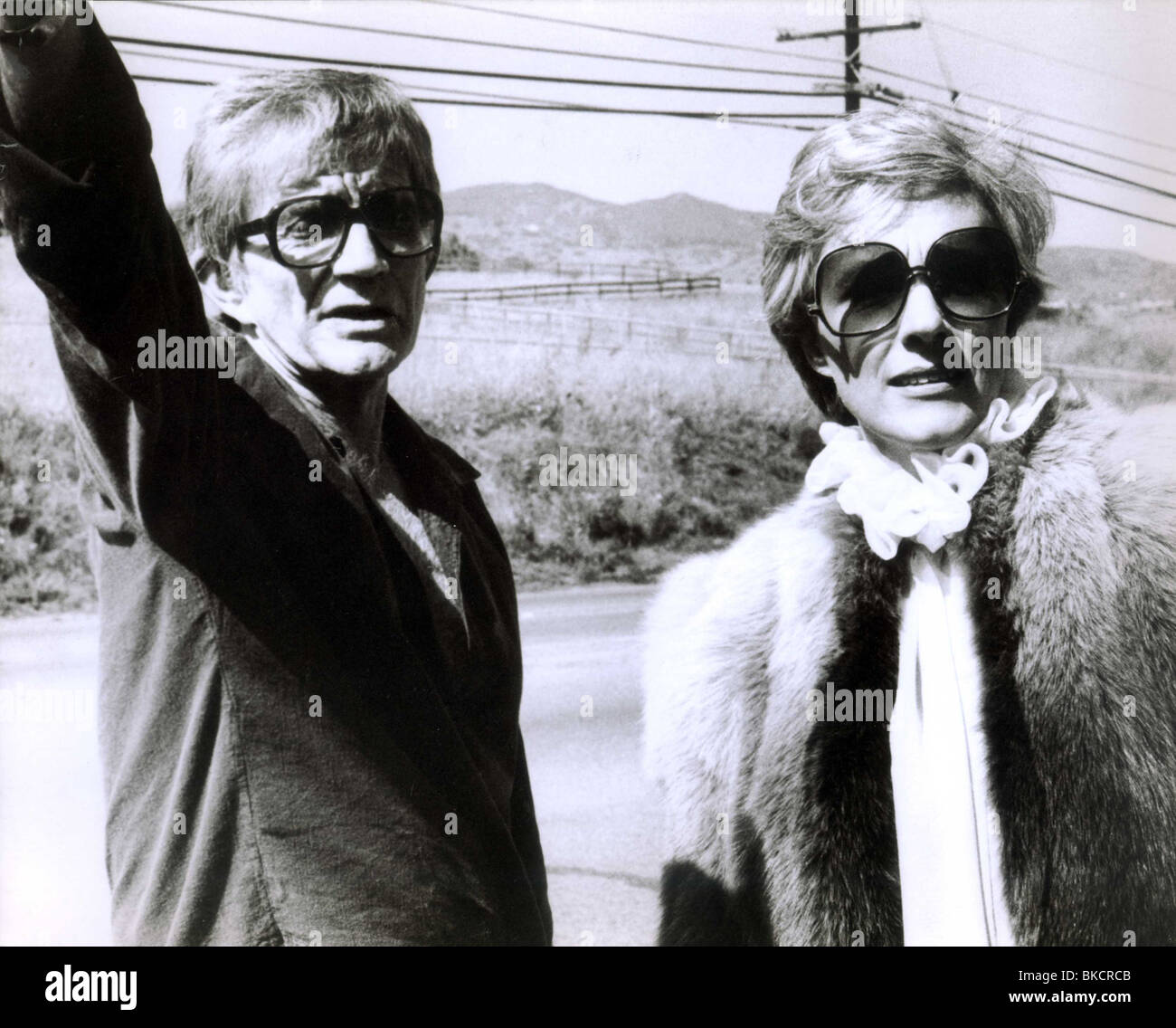 BLAKE EDWARDS (DIR) O/S 'S.O.B.' (1981) AVEC JULIE ANDREWS SEDD 002P Banque D'Images