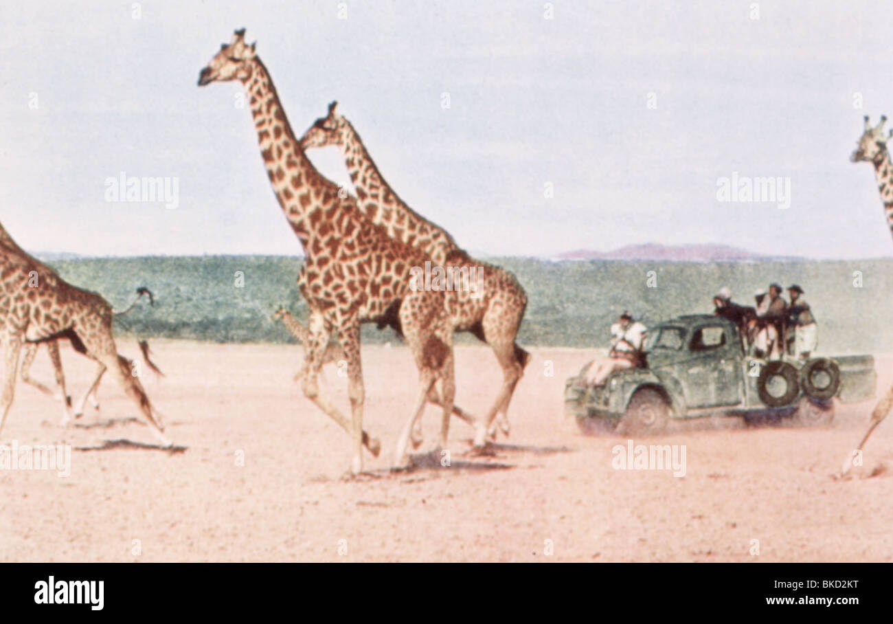 HATARI-1962 Banque D'Images