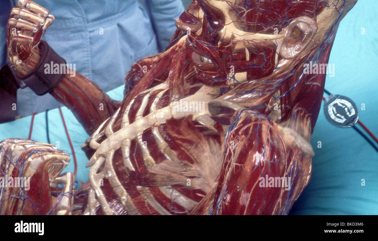 HOLLOW MAN -2000 Banque D'Images