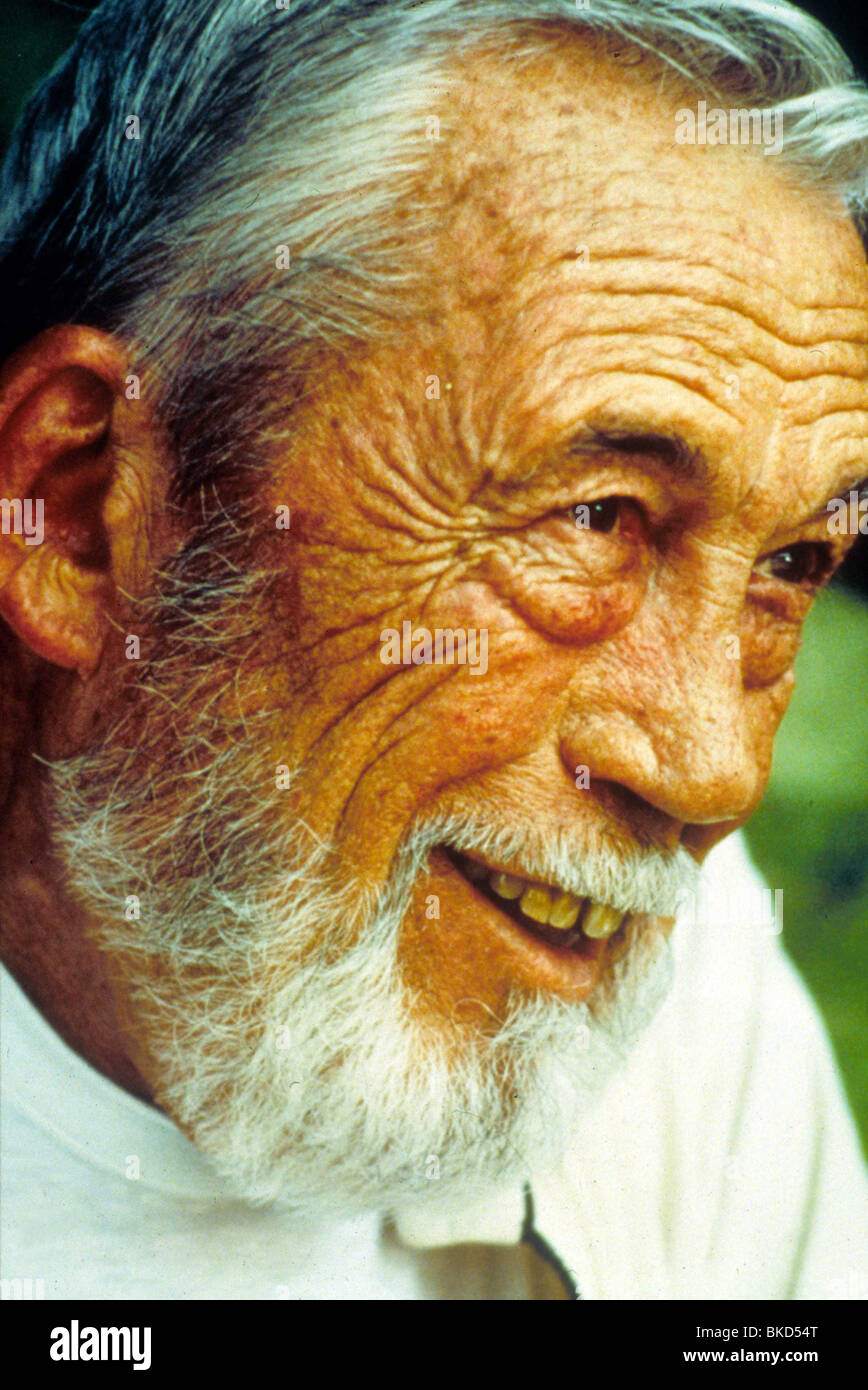 JOHN HUSTON (DIR) PORTRAIT Banque D'Images